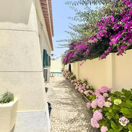 House Upscale With Pool