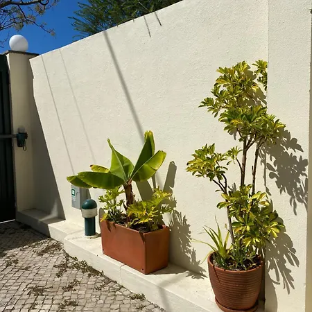 House Upscale With Pool