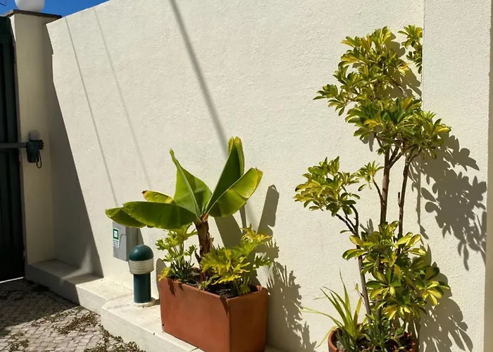 House Upscale With Pool